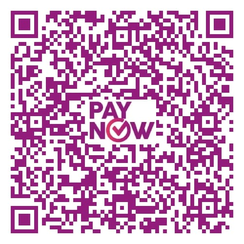 PayNow QR preview